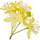 Linde