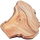 Birke