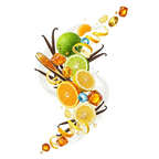 XerJoff - Erba Pura Zutaten visualisiert