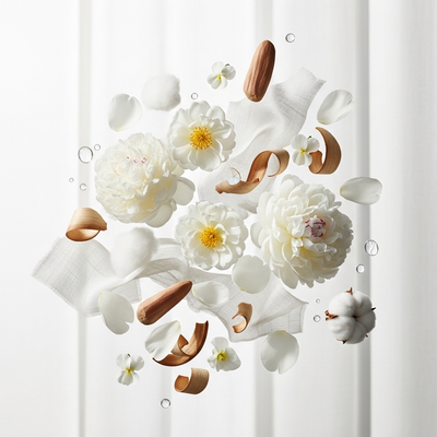 Byredo - Blanche Zutaten visualisiert
