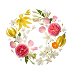 Dior - J'adore Zutaten visualisiert