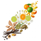 Roberto Ugolini - Marzocco Zutaten visualisiert