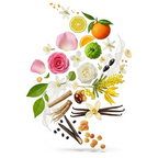 Chanel - Coco Mademoiselle  Zutaten visualisiert